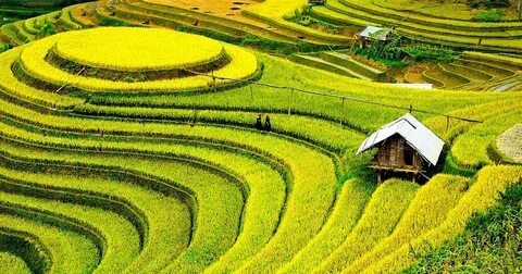 Điểm tên những quán phở ngon nổi tiếng ở TP.HCM