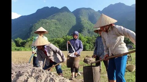 Ngày Dinh dưỡng cộng đồng lần thứ 4: Lan tỏa thông điệp sống khỏe, năng động
