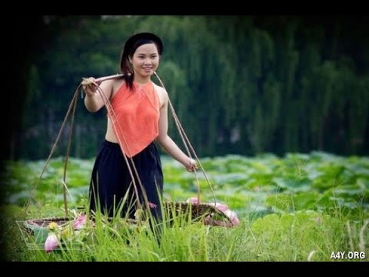 Hotspot Matrix và Các nhà khoa học phân tích 'tiếng nói' của loài tinh tinh lùn và phát