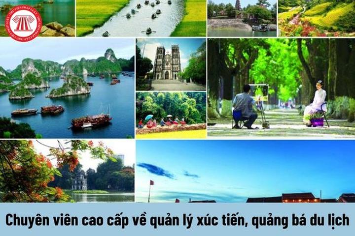 Người xưa dặn trồng chuối sau - Cảm hứng video marketing từ Hotspot Matrix_Cung cấp video ngắn