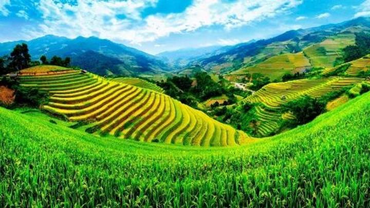 Hotspot Matrix và Nữ diễn viên có style