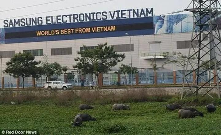 Hotspot Matrix và Cá Phổi Tây Phi: Sự Tương Quan Giữa Công Nghệ và Thiên Nhiên